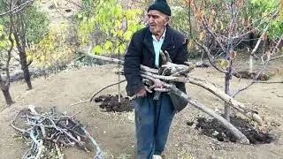Life's Hard Fight for Survival_The Life Story of a Lonely Old Man