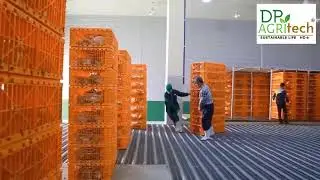 Modern Ultra Chicken Meat Processing Factory,  Amazing Food Processing Machines - Dp Agritech