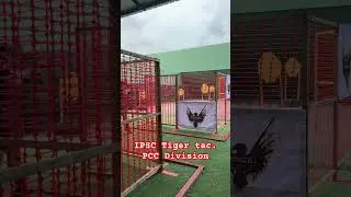 IPSC toger tac. PCC Division #ipsc #shooting #police #beneli #thailand #thailand #citizentacticteam