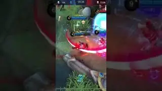 Chou M1 Donkey