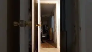 Opening a door 100% Speedrun - World Record