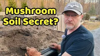 Mushroom Soil Compost - A Secret to Successful Raised Bed Gardens?