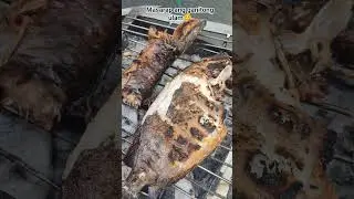 HITO AT LABAHITA