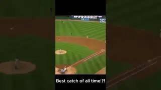 BEST CATCH OF ALL TIME!?!?!?!?!?  #dontscroll  #cool  #meme  #baseball #wtf