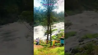 Pykara Waterfall,Ooty #ootytour #ootytravel #ootytrip #ooty #ootytourism #nature #short #shorts