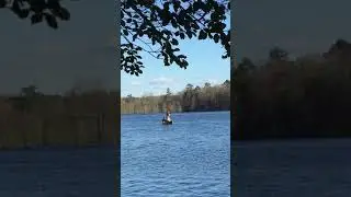 Video of Trap Pond State Park, DE from Ella P.