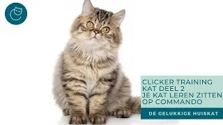CLICKER TRAINING MET JE KAT, deel 2:  ZITTEN OP COMMANDO - De gelukkige huiskat | Kattengedrag