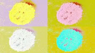 SHANIMATION
