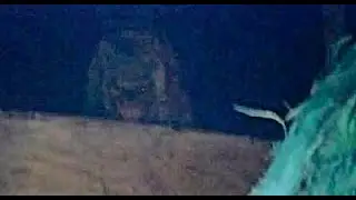 FINALLY!! THE MOST DISTURBING IMAGES OF DOGMAN WEREWOLF WE HAVE EVER FEATURED!!