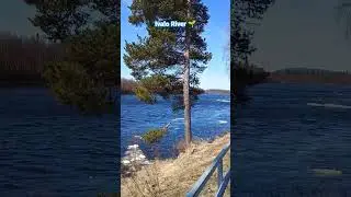 Ivalo River is melting, Spring..🌴🌞🌴