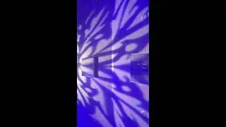 Winter Wedding Lighting in San Diego