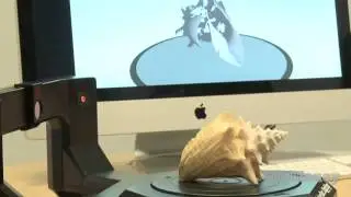 Shell Scanning