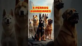 5 mejores perros guardianes del mundo #saberespoder #perros #conocimiento #sabiasque #curiosidades