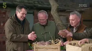Springtime on the Farm | Trailer | Channel 5