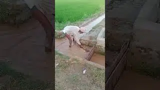 ਧੱਕਾ😔 #uncle #punjabi #farmerlife #water #foryou #fight #irrigation #pani #india #punjab #punjabi