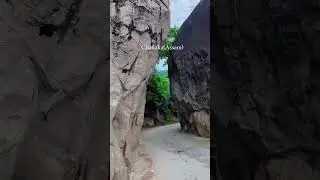 Chanaka (Assam)💐 #shorts #ytshorts #welcomeexploreroads