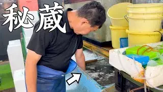 [August Pick] Crazy fish kept coming out from the deepest tanks in the market!