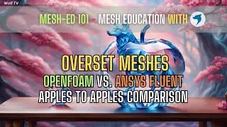Post-processing overset meshes with Paraview and Ensight | How is it done in OpenFOAM and Fluent