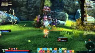 Fighting the TERA world boss Arakia