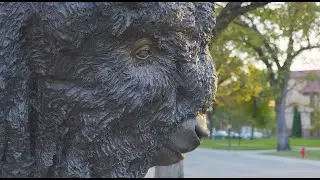 Challey Institute: Brand Film