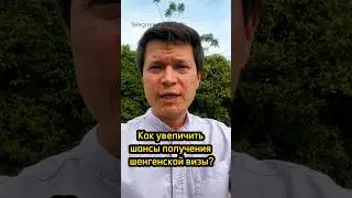 ⚠️ Как получить шенгенскую визу❗️ #иммиграция #шенген  #работазаграницей #пмж #европа #кудапоехать