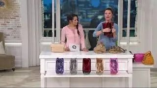 Pursfection Portable Purse Organizer w/ 12 Pockets & Zipper Close on QVC