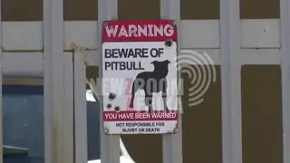 Pit Bull Attack - South Africa 🇿🇦 