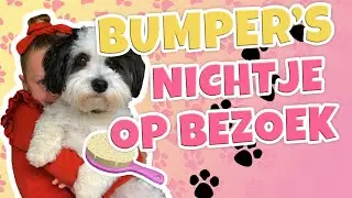 BUMPER KRIJGT BEZOEK!