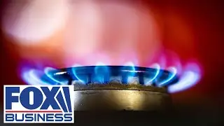 Gas stove ban is a 'backdoor way' to go after natural gas: Sen. Cassidy