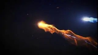 Wild  Willy's Fireworks - Flashing Fireworks