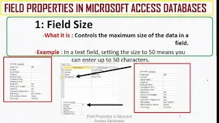 Field Properties in Microsoft Access Databases | Simple Explanations and Examples