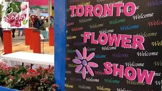 Beautiful Flower Show - Canada Blooms 2019
