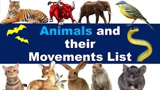 Animals and its Specific Movement।How Creature Move। Movement of Animal।Animal Motion।Animal Walk।