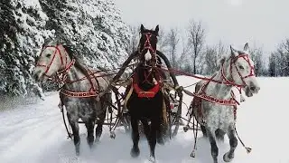 Вьюга - Сл.М.Бомбусова.Муз. сген.серв.нейрос.и созд. Иск.Интел.под чутким руков. Ест.Инт.В.Хоборова