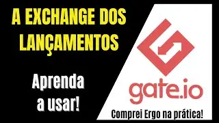 Como usar a GATE IO na tela do computador - Comprei ERGO na PR&Aacute;TICA!