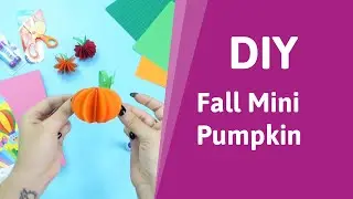 How to Make Mini Pumpkins for Fall | Pointer USA
