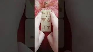Риби 24 02 02 03 25 Рыбы
