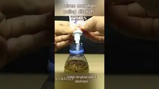 buat cairan pembasmi TIKUS#idesederhana #idekreatif #idekreatif