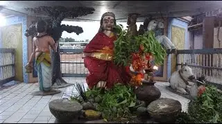 Vattappalai Kanaki Ambal Pongal 2016