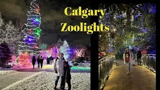 Christmasventure at the Calgary Zoolights