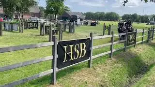 International Top Driving Horses For Sale | Team Heibing, Denmark