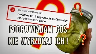 MIZERIA odpowiadam na komentarz i zdradzam prosty patent @prostoismacznie4151