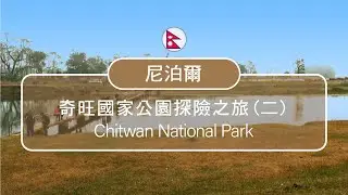 藍毗尼-釋迦摩尼的出生地漫步原始森林 體驗自然之美，生物之美(Nepal)