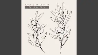 Moments of Clarity