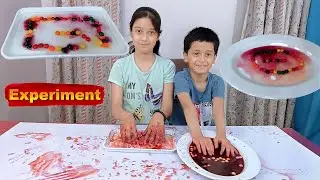 Kids Colorful Candy Rainbow Science Experiment Sherry Fun Learning Vlog.