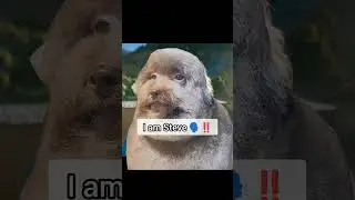I am Steve🗣️‼️ #steve #meme #стив #мемы  #майнкрафтфильм #майнкрафт #ипучий #кириллплюш #блоптоп