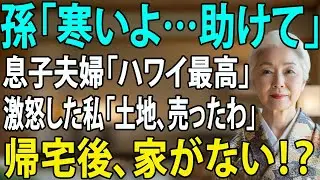 孫を庭に放置してハワイへ消えた息子夫婦「ババアの金で豪遊ｗ」私「土地、即売却したわよ？」→帰国後、家が消滅していた結果… 【シニアライフ】【60代以上の方へ】