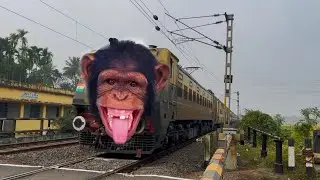 Dangerous Chimpanzee Headed Intercity Express Furious Moving Throughout at Railgate 