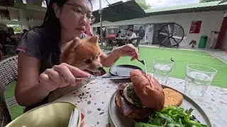 Koji wants brunch
