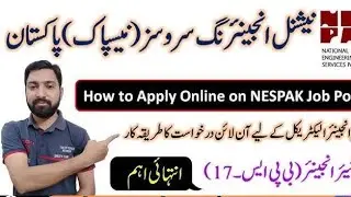 National Engineering Service Pakistan  new Nespak  job by Dija  talks